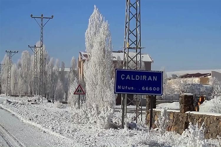 Çaldıran Evden Eve Nakliyat